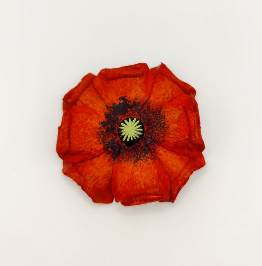 Imán Flor Amapola Rojo